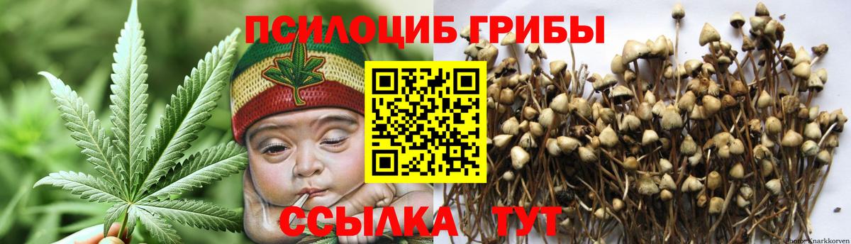 Сухой Лог  Псилоцибиновые грибы MAGIC MUSHROOMS  Вход с VPN  Псилоцибиновые грибы GOLDEN TEACHER 